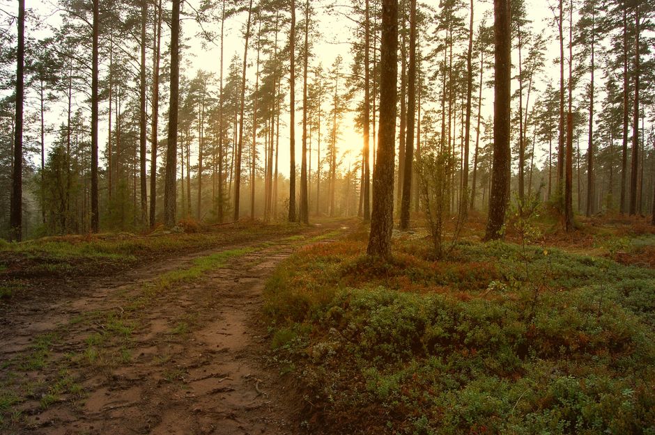 A Step-by-Step Look at The Importance Of Personal Well-Being