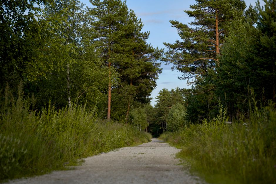 Building a Daily Routine Around Stress: Signal, Response And Recovery