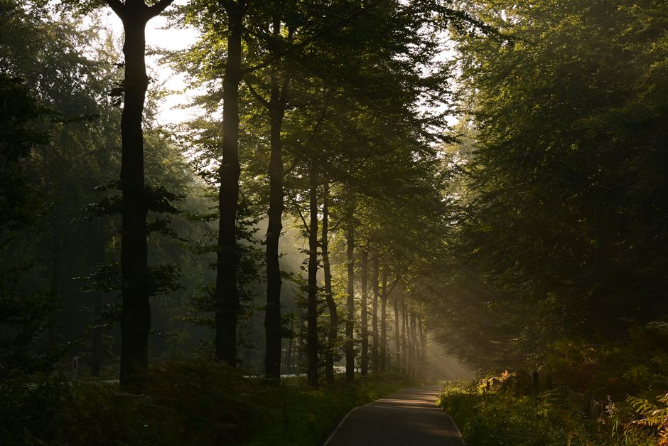 Building a Daily Routine Around The Connection Between Body And Mind