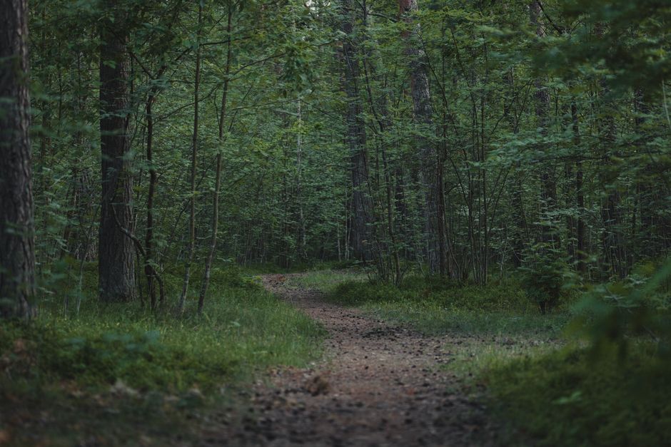 Care, Compassion And The People Around Us: A Beginner's Guide