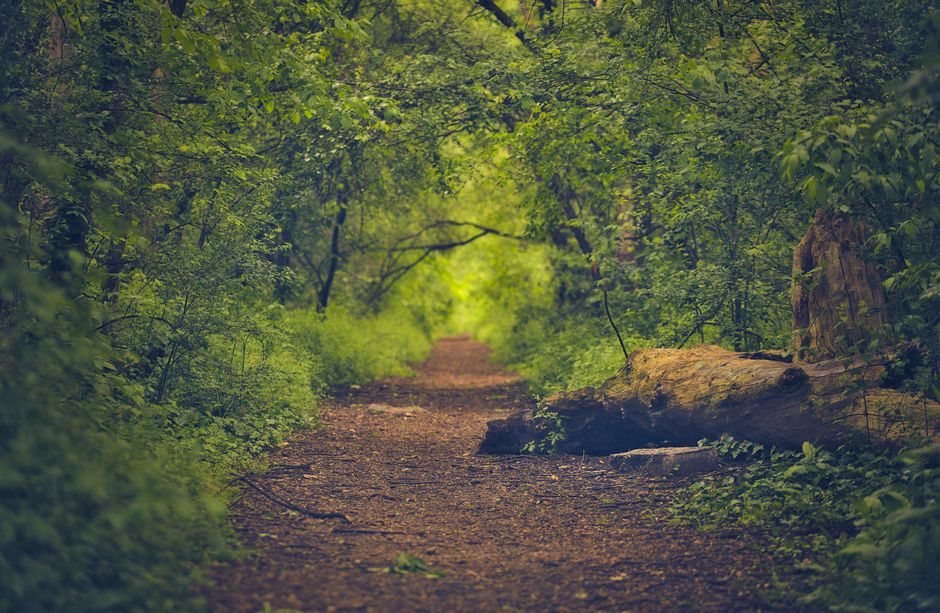 Care, Compassion And The People Around Us as a Daily Habit