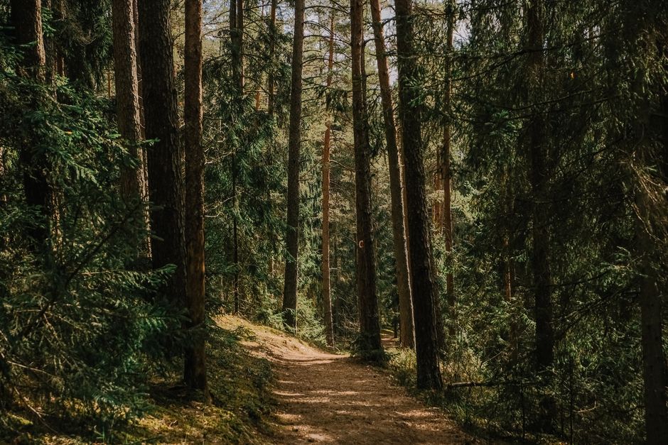 Why Personal Well-Being Must Come First for Caregivers
