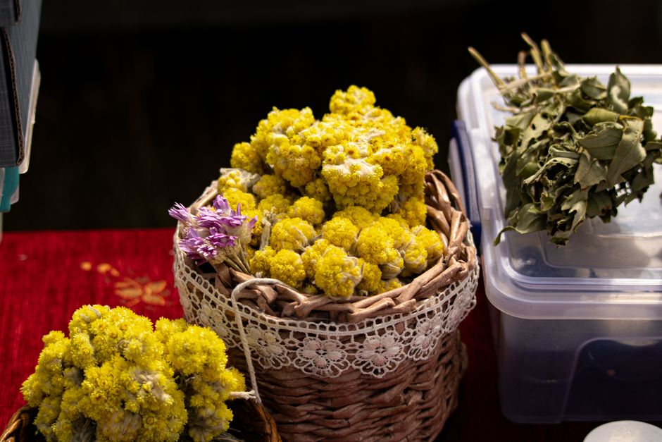 Gut Health Beyond The Marketing: Common Mistakes to Avoid