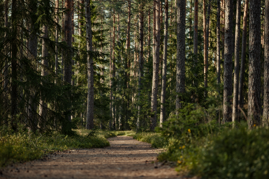 Health And Uncertainty: A Simple Checklist