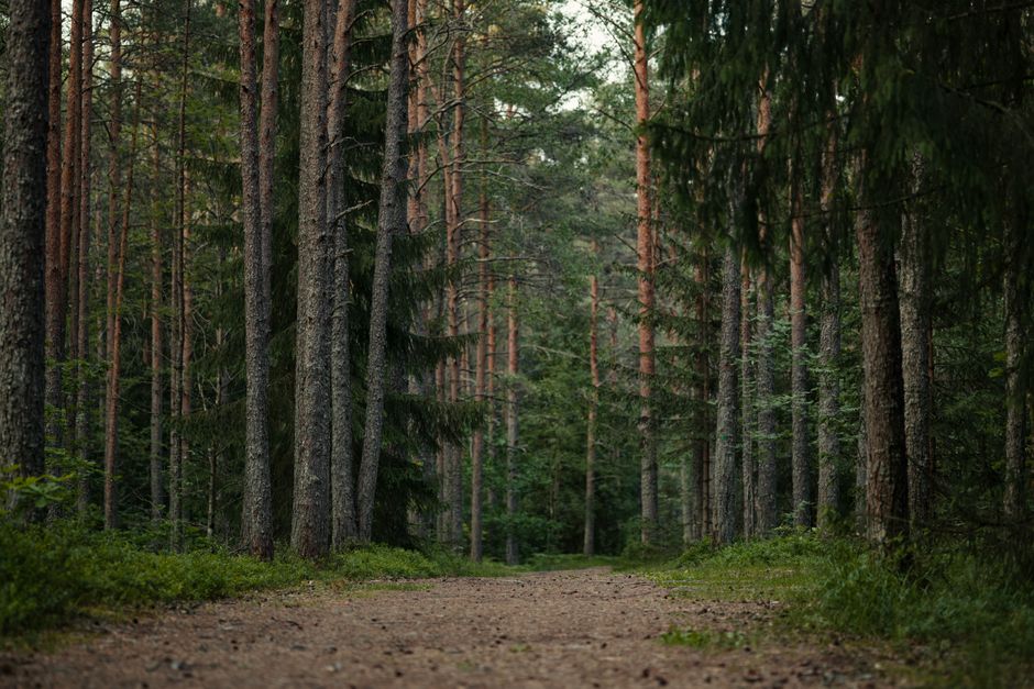 Health As A Daily Practice: Sorting Fact From Fiction