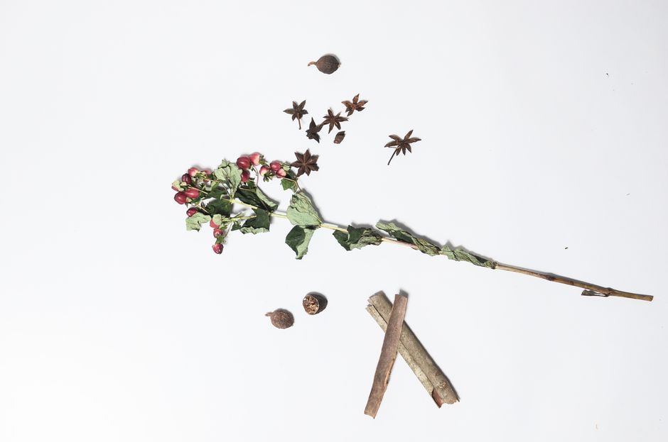Herbs And Botanicals: A Cautious Look: Where to Start
