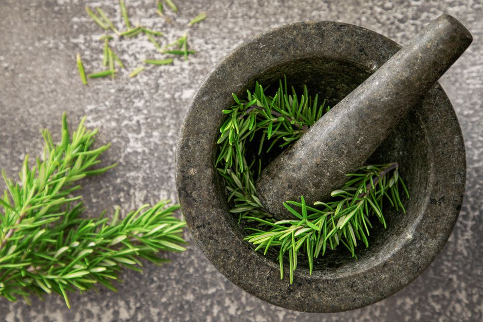 A Gentler Way to Approach Hydration, Breath And The Overlooked Basics, on a Normal Week