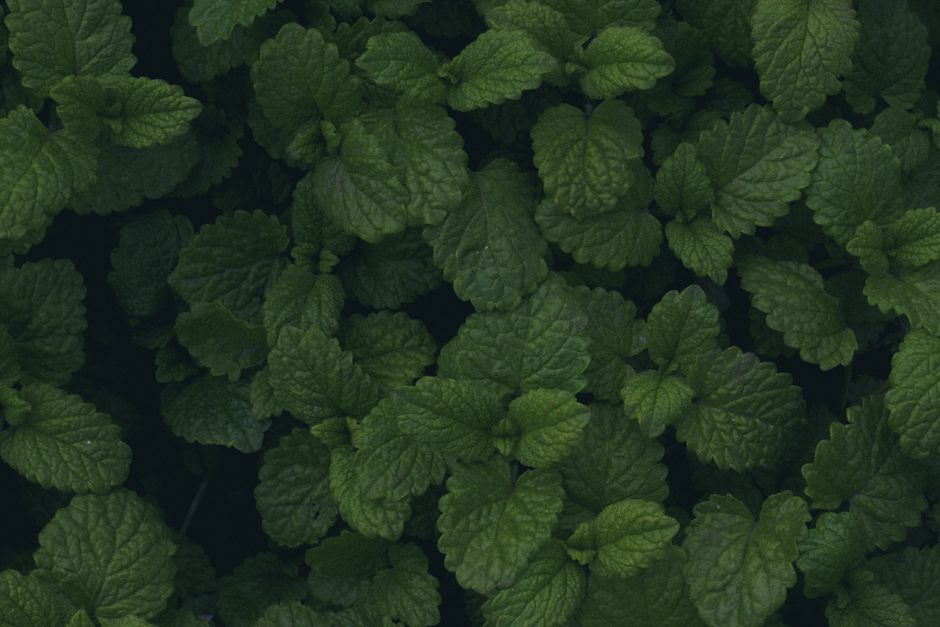Hydration, Breath And The Overlooked Basics: What Not to Do