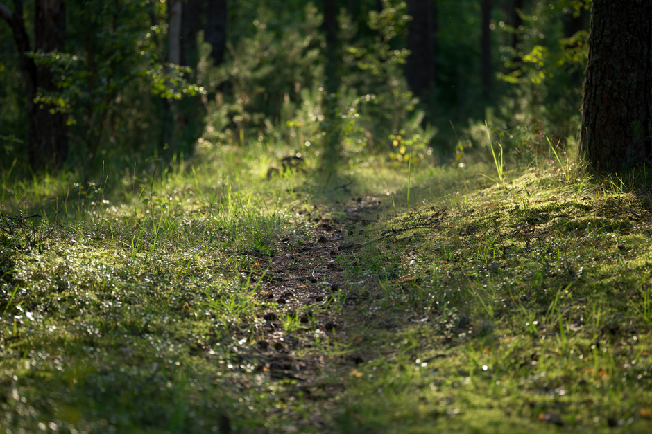 Motivation, Discipline And Self-Compassion: Where to Start