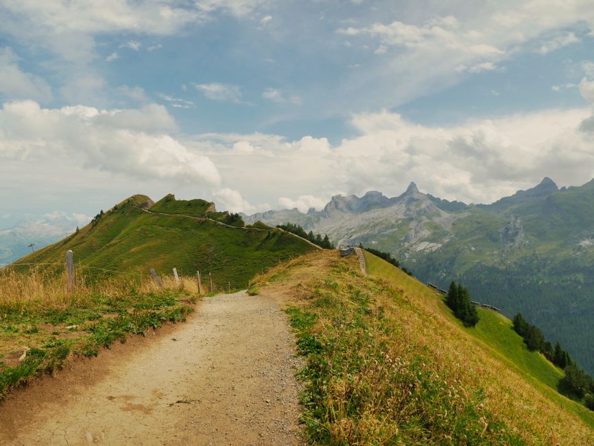Moving More Without Going To A Gym for Busy People, Made Simple