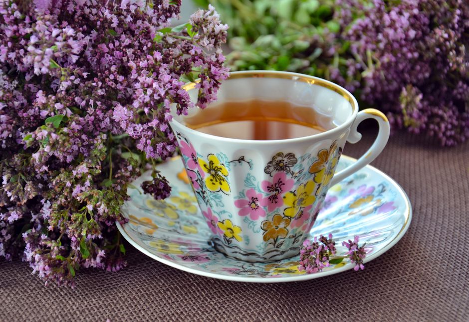 One Week of Focusing on Health Advice Online And How To Weigh It, Step by Step