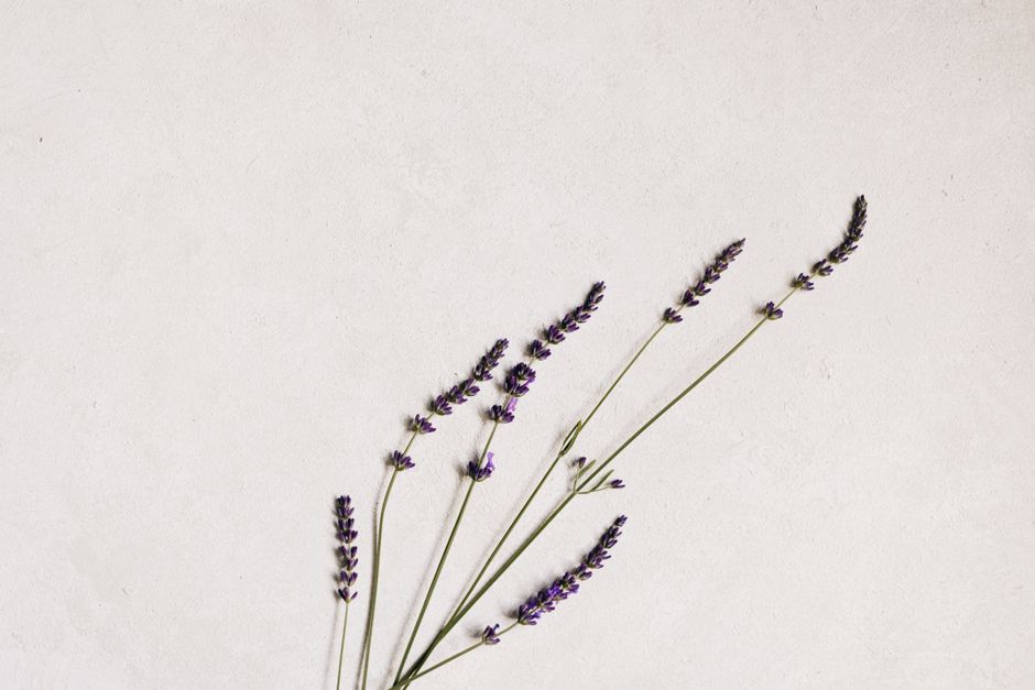 Seasonal Changes And How The Body Responds: The Short Version