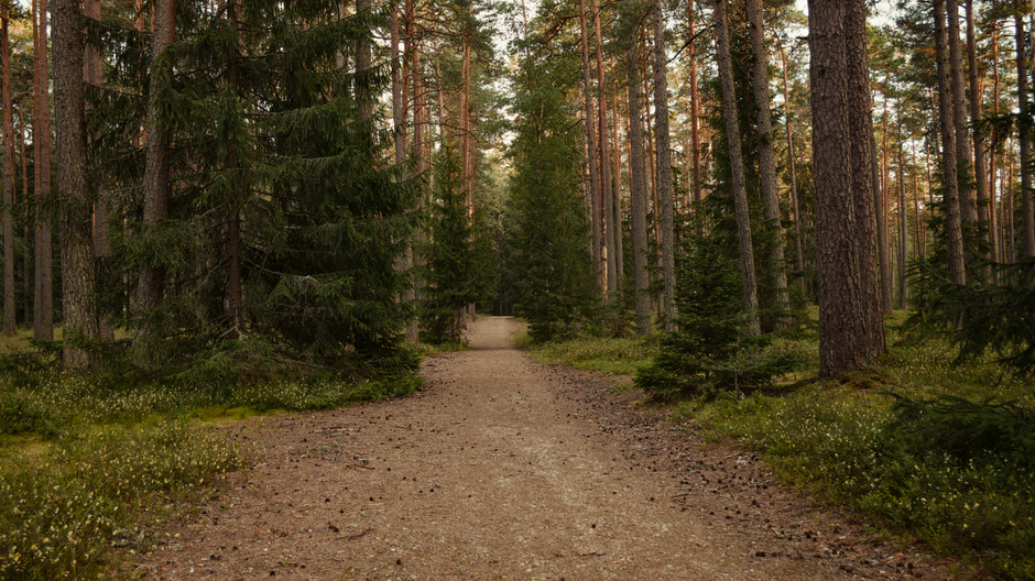 The Connection Between Body And Mind: What Not to Do