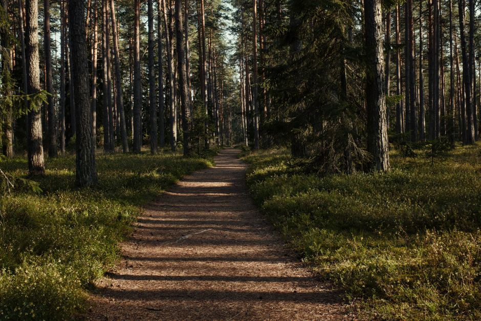 The Social Side Of Well-Being in Your 40s, 50s and Beyond