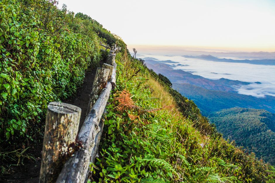 The Truth About The Ordinary Virtues Of Walking