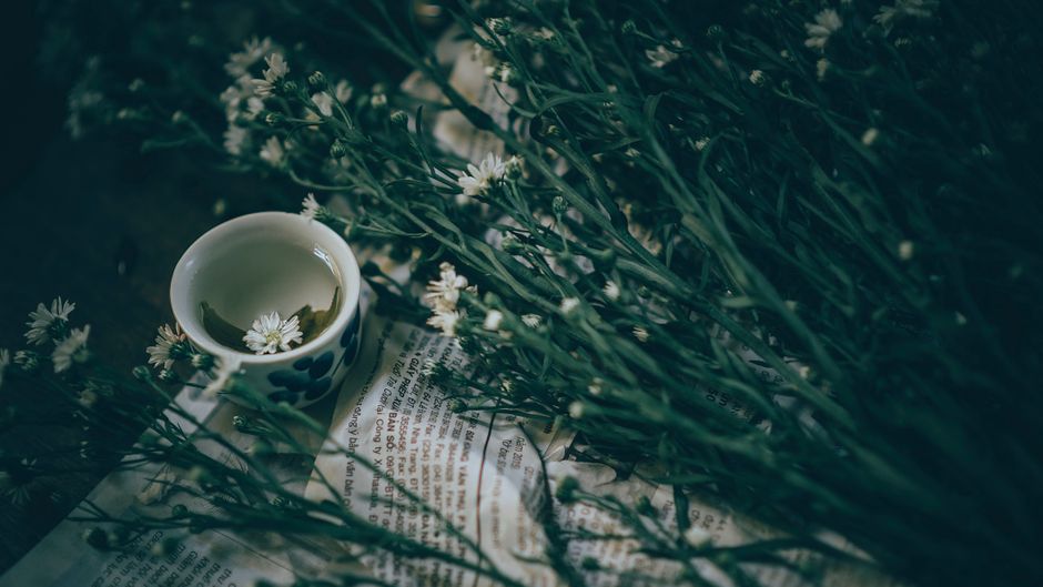 The Value Of Prevention as a Daily Habit — Part 2