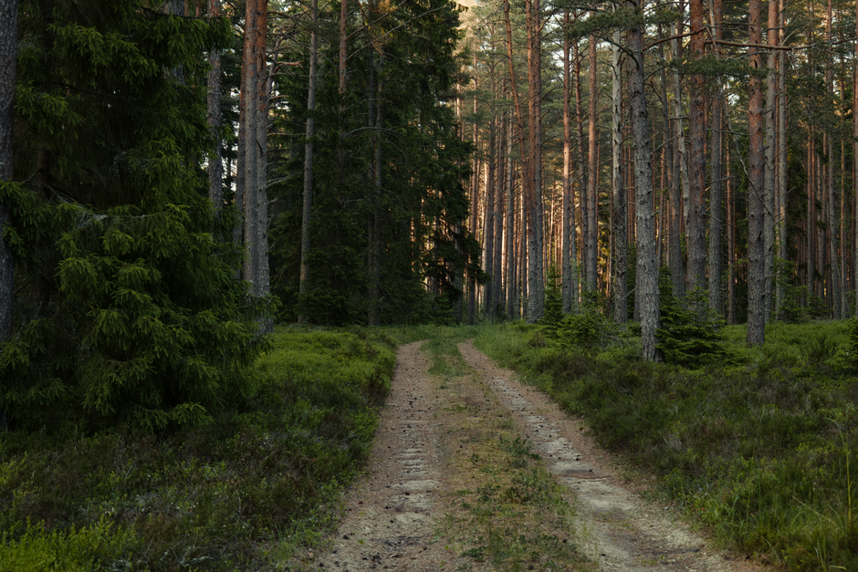 Understanding Health And Wellness: Practical Steps You Can Use