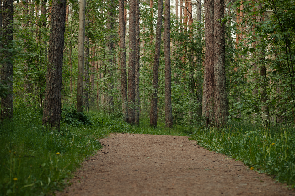 Understanding Health And Wellness: What Changes With Age — Part 2