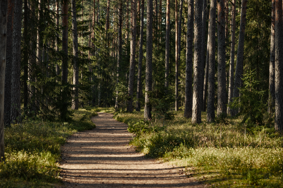 Wellness Without Perfectionism: A Simple Checklist — Part 2