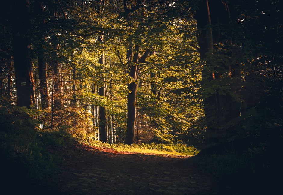 Where People Go Wrong With Health As A Daily Practice — Part 2