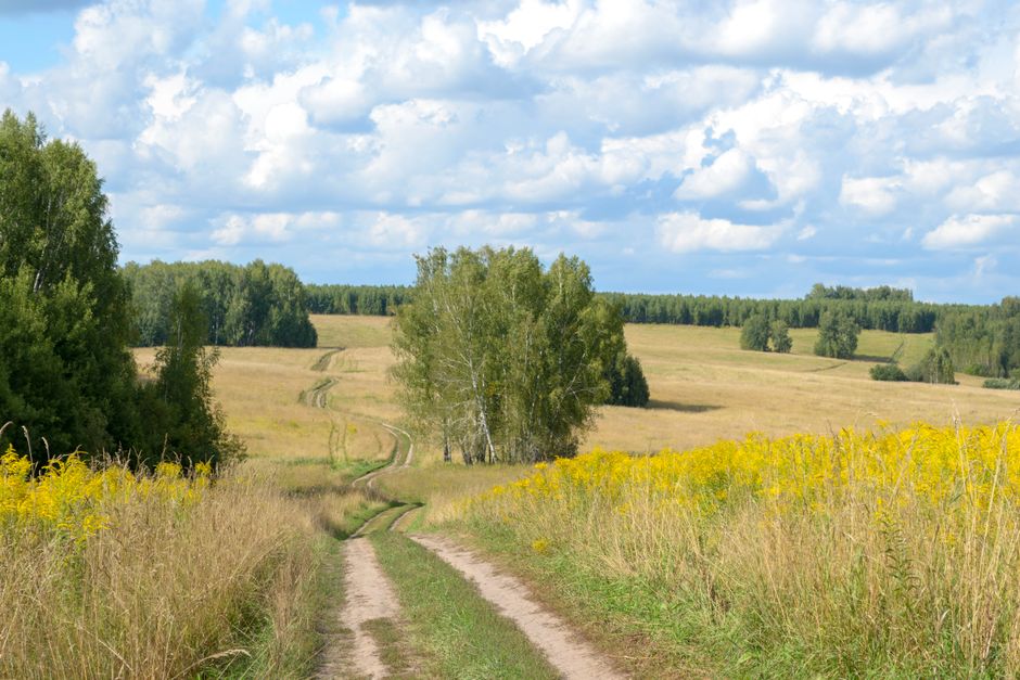 Working Health Over A Lifetime, Not A Season Into a Busy Week, Made Simple